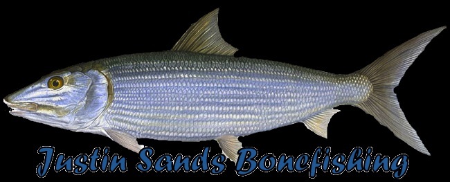 Justin Sands Bonefishing