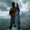 Good and rare Tarpon caught in the Marls by Kim Baron 2010
